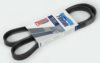 GAZ 40624130802010 V-Ribbed Belts